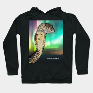 Snake Hoodie